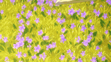 2b2003dd-e902-426e-859e-97e501780b0c.gif